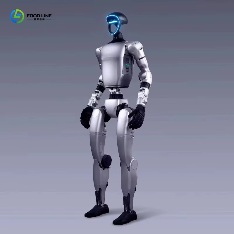 Robot humanoïde intelligent personnalisé pour l'éducation, la recherche, la scène et le divertisseme