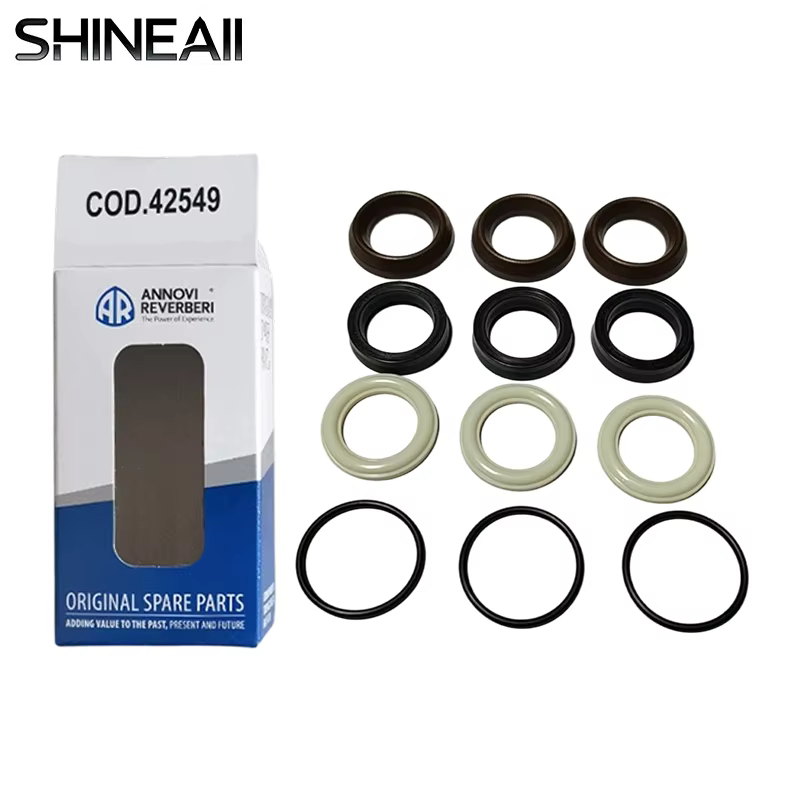 Kit de réparation de joint d'étanchéité pour pompe Annovi Reverberi AR42549 OEM pour pompes RR RRA I