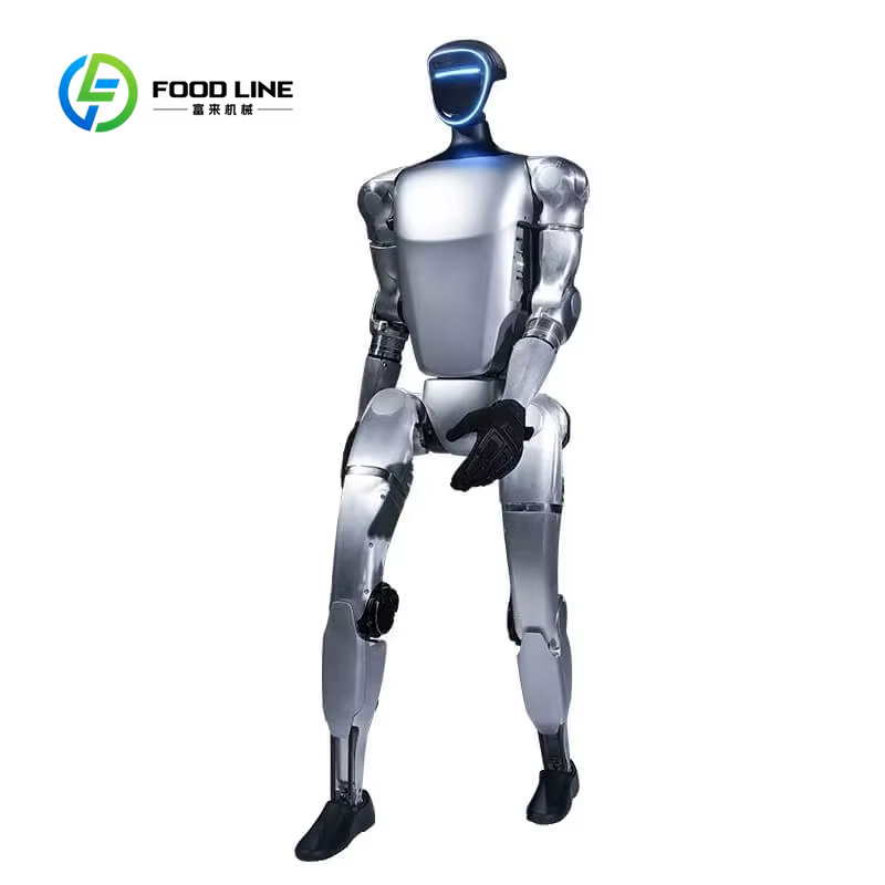 Robot humanoïde multifonctionnel personnalisé avec une locomotion stable pour la simulation sportive