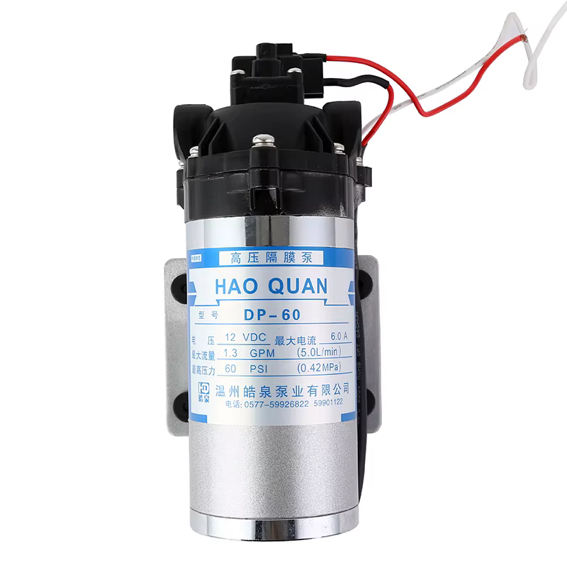 Pompe à diaphragme électrique haute pression DP-60 12V 60Psi 50L/min pour RO et RV, personnalisable