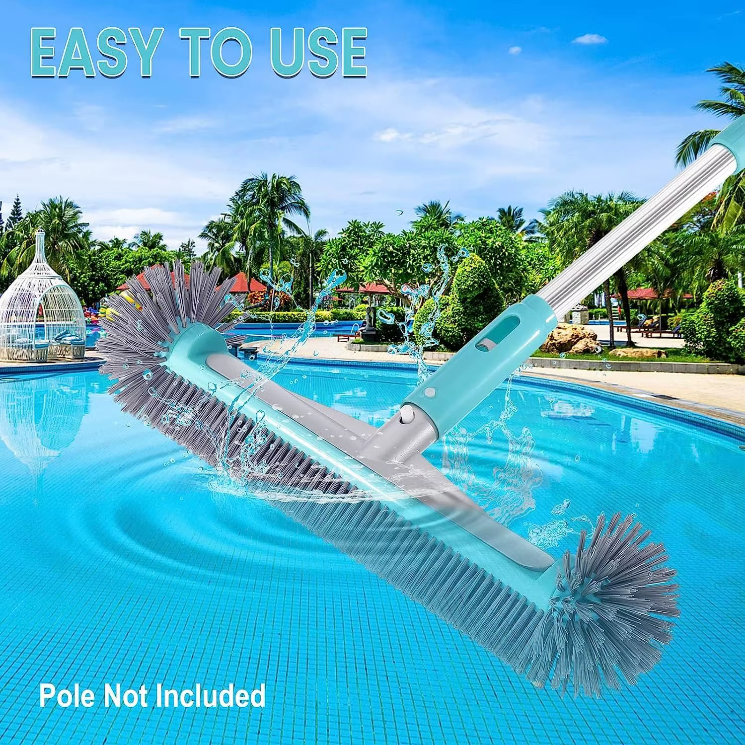 Brosses de nettoyage pour piscine de 17