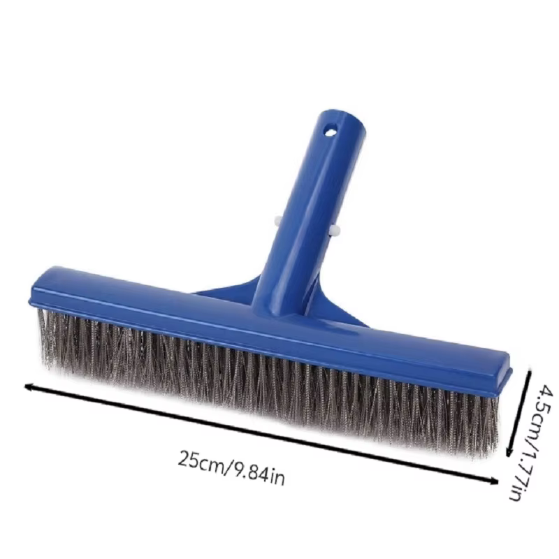 Brosse à algues en acier inoxydable durable de 10 pouces pour le nettoyage des piscines
