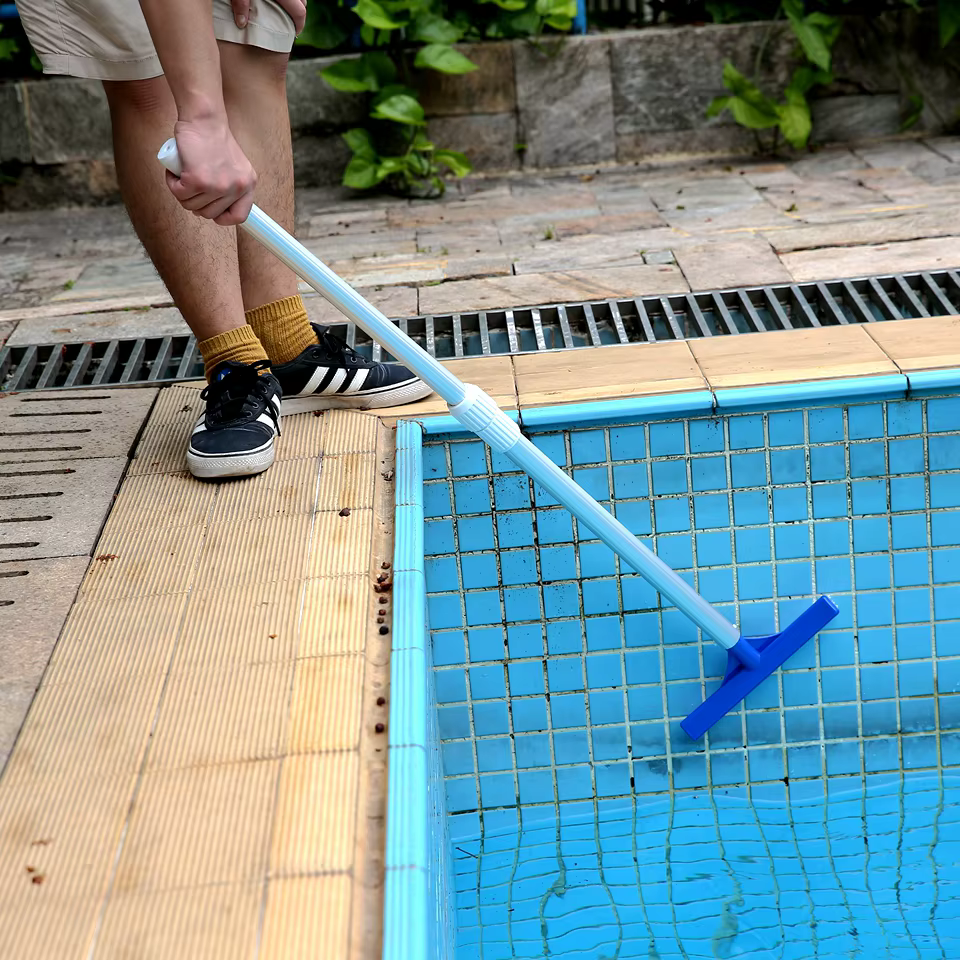 Brosse de nettoyage de piscine en plastique de 10 pouces pour l'entretien des piscines