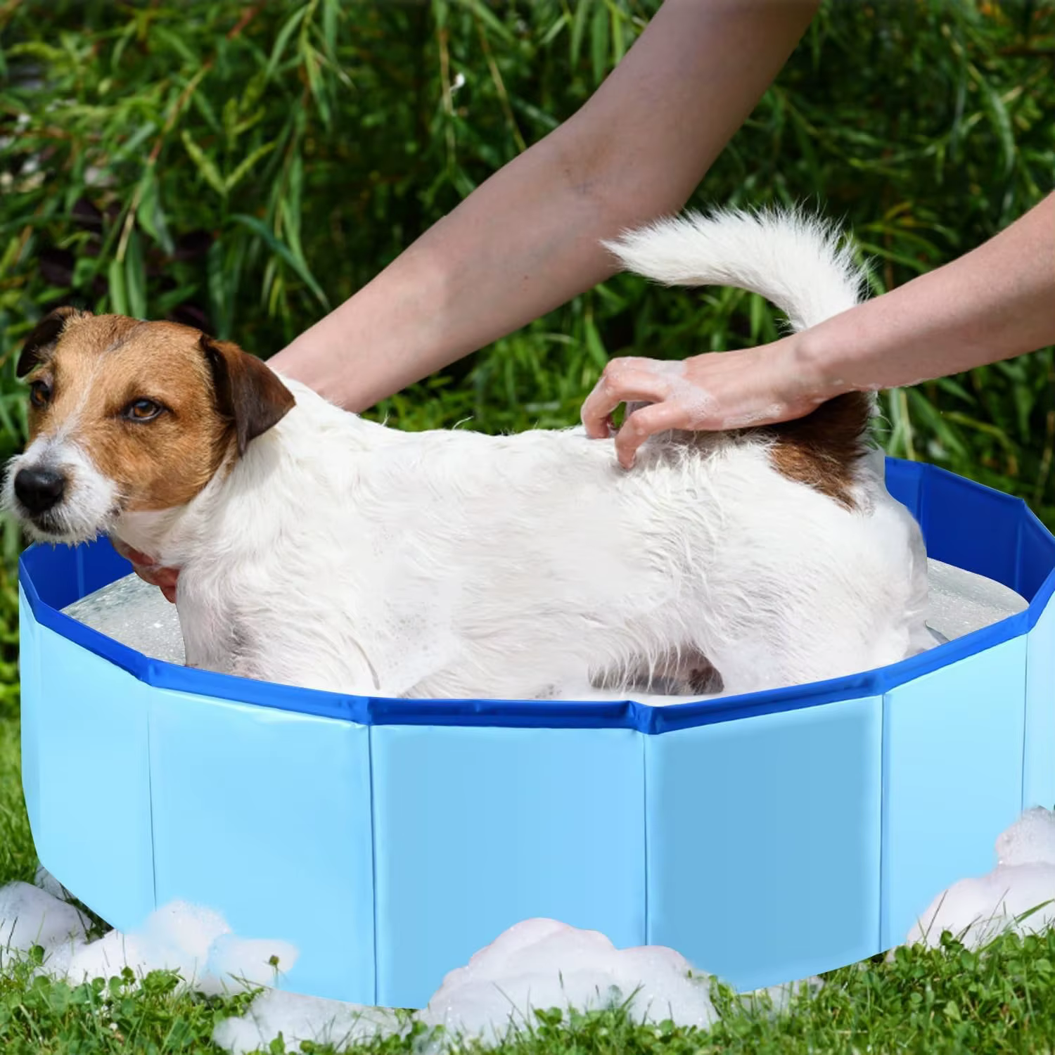 Piscine pliable pour animaux de compagnie pour chats et chiens