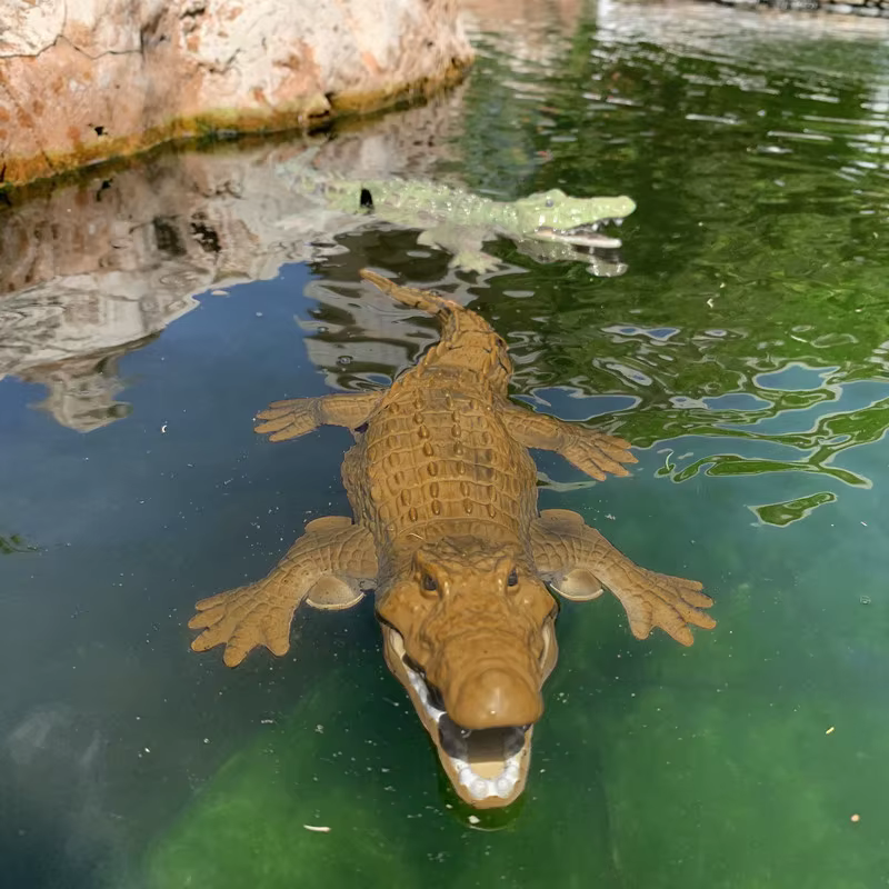 Crocodile RC réaliste pour piscine lac jouets pour enfants étanche télécommande Animal