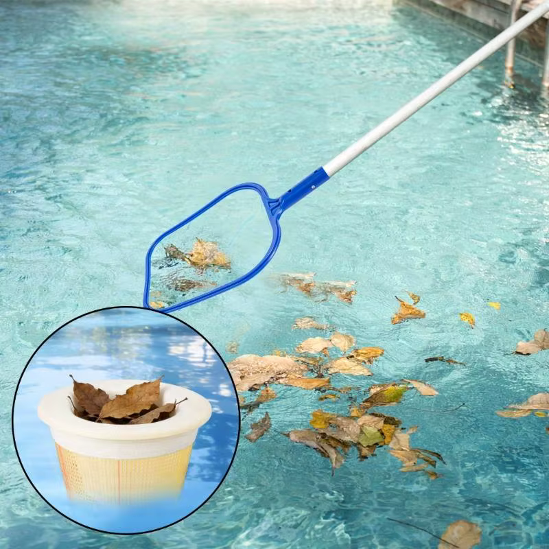 Filtrant d'écumoire piscine pour le nettoyage piscine d'arrière-cour