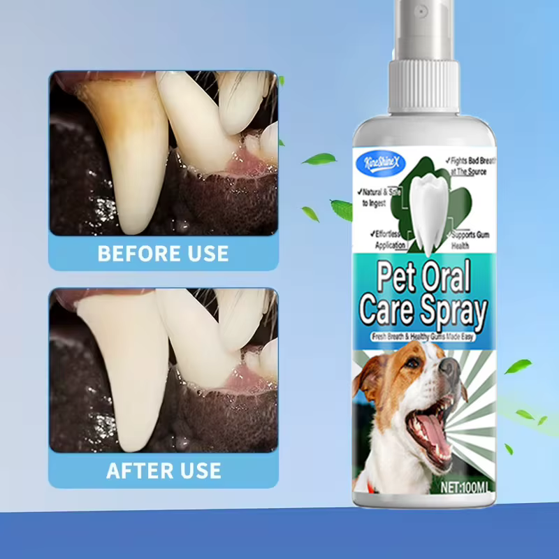 Spray dentaire de soins bucco-dentaires pour animaux de compagnie, éliminateur instantané de mauvaise haleine, avec ingrédients naturels, sans danger pour le nettoyage des dents des chiens et des anim