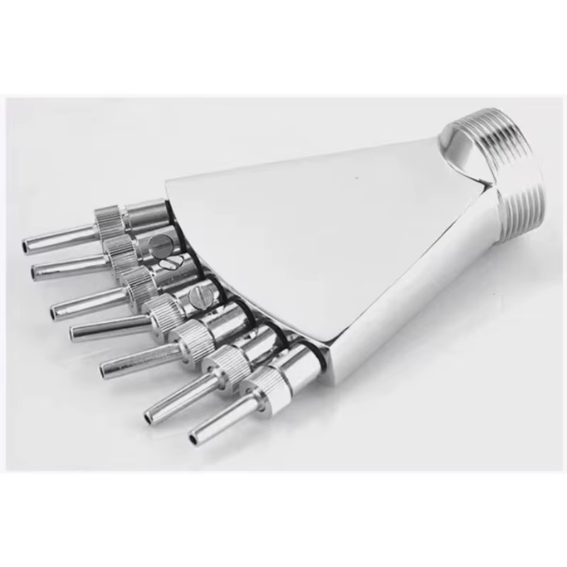 Nouvelle tendance piscine SPA Massage douche acier inoxydable 304 pôle