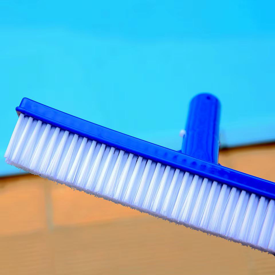 Brosse de nettoyage de piscine en plastique de 10 pouces pour l'entretien des piscines