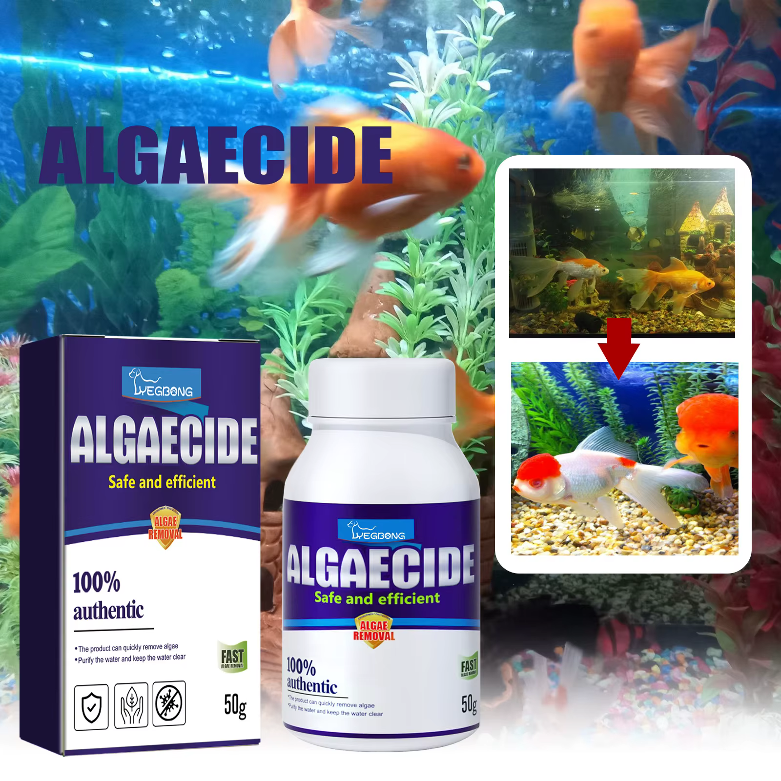 Dissolvant d'algues d'aquarium