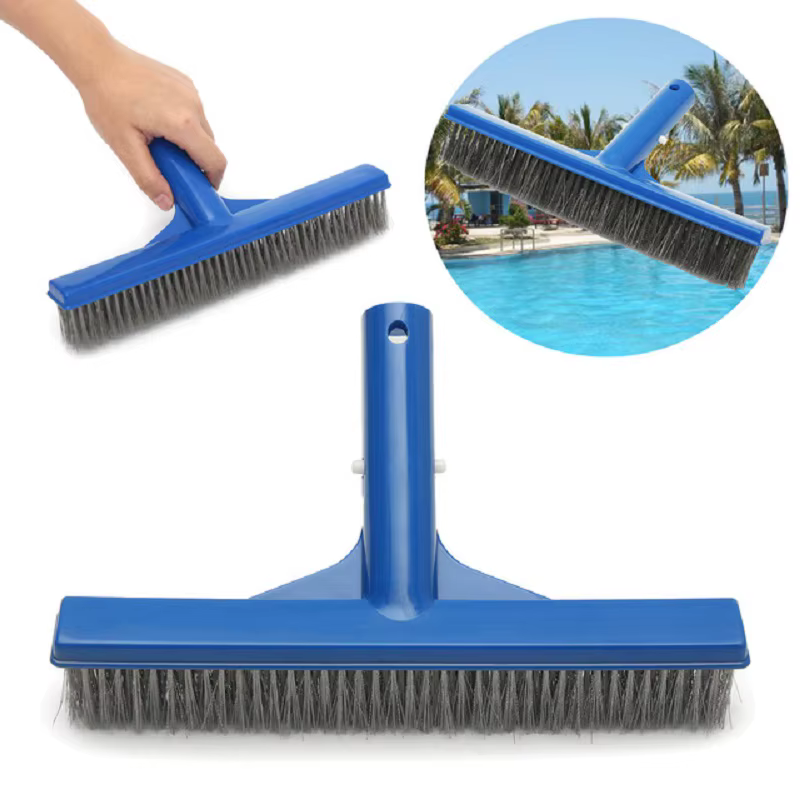 Brosse à algues en acier inoxydable durable de 10 pouces pour le nettoyage des piscines