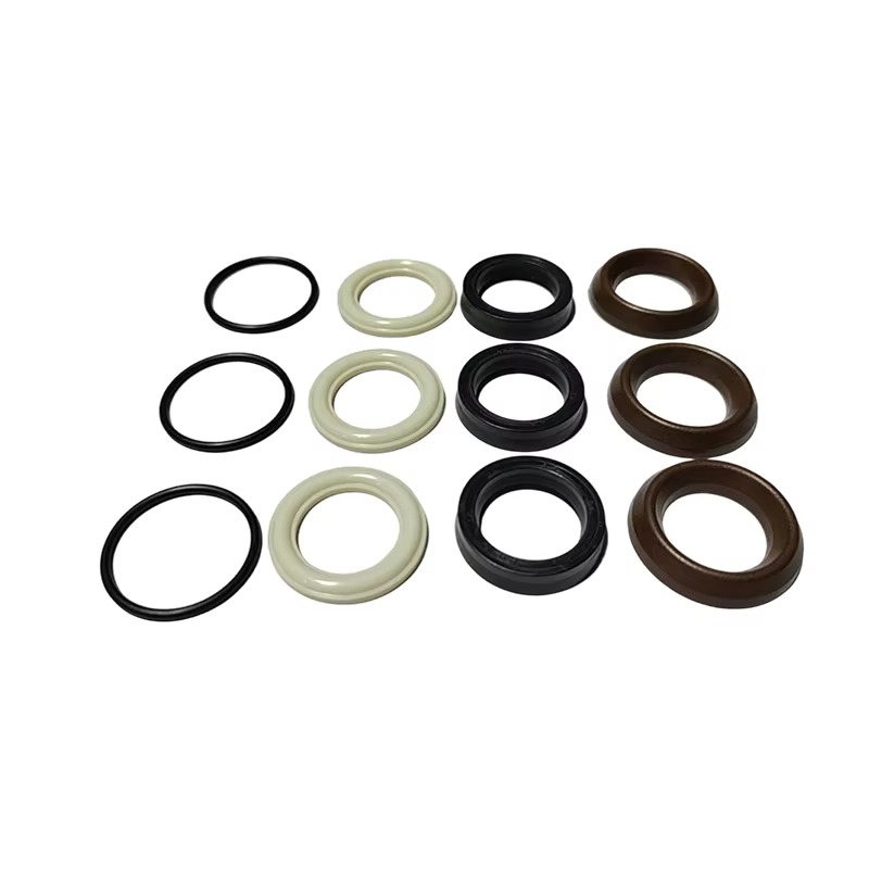 Kit de réparation de joint d'étanchéité pour pompe Annovi Reverberi AR42549 OEM pour pompes RR RRA Italie