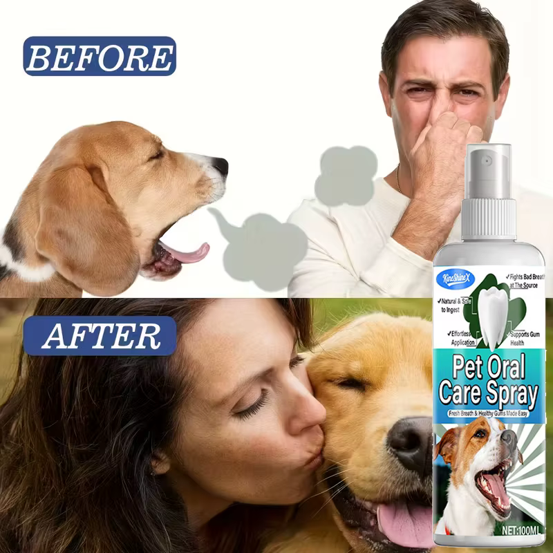 Spray dentaire de soins bucco-dentaires pour animaux de compagnie, éliminateur instantané de mauvaise haleine, avec ingrédients naturels, sans danger pour le nettoyage des dents des chiens et des anim