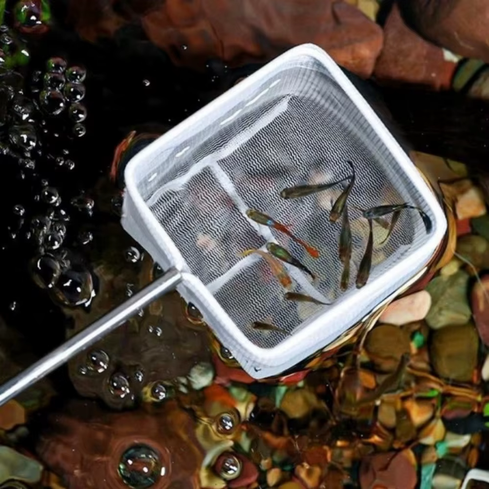 Mini filet de pêche en acier inoxydable à mailles fines