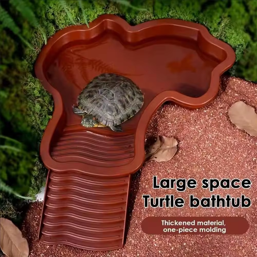 Piscine de bain pour reptiles