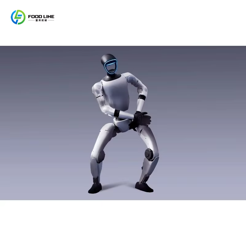Robot humanoïde intelligent personnalisé pour l'éducation, la recherche, la scène et le divertissement
