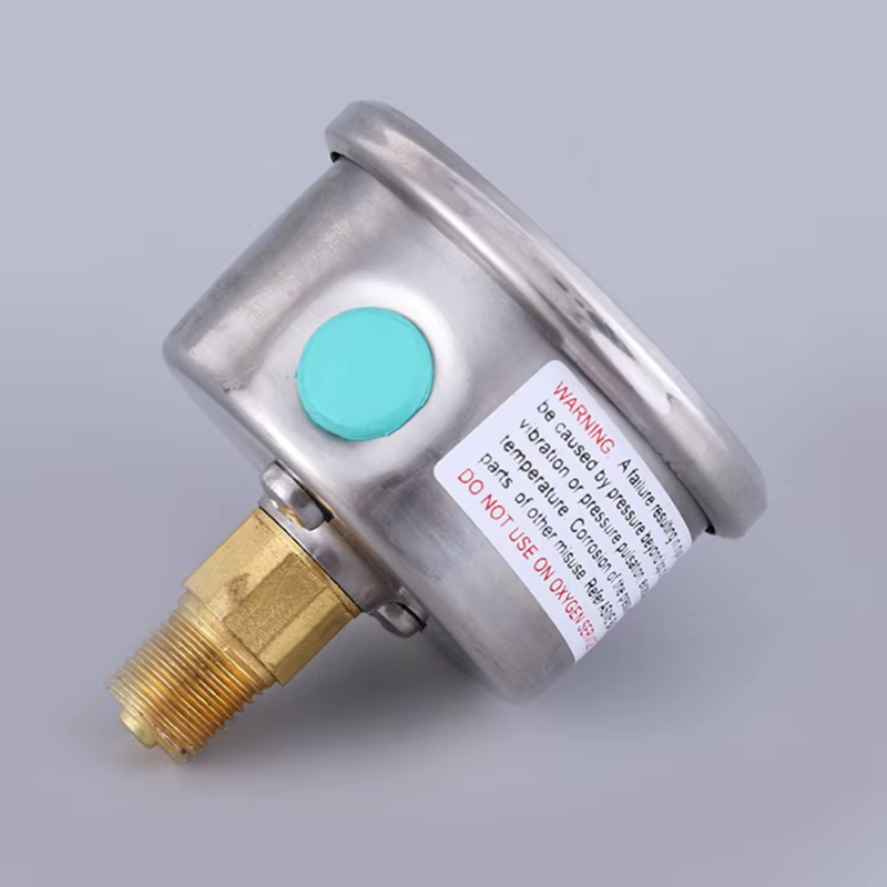 Manomètre de filtre de piscine rempli de liquide de taille 2 "en acier inoxydable pour boîtier 40mpa