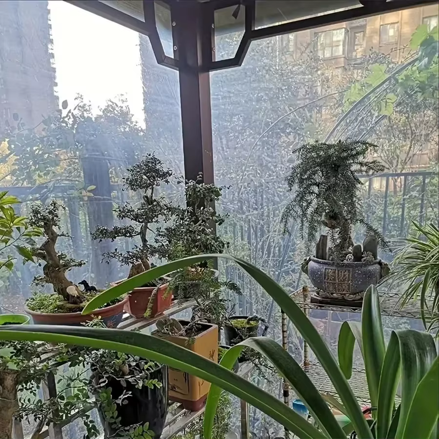 Bâche transparente imperméable de jardin