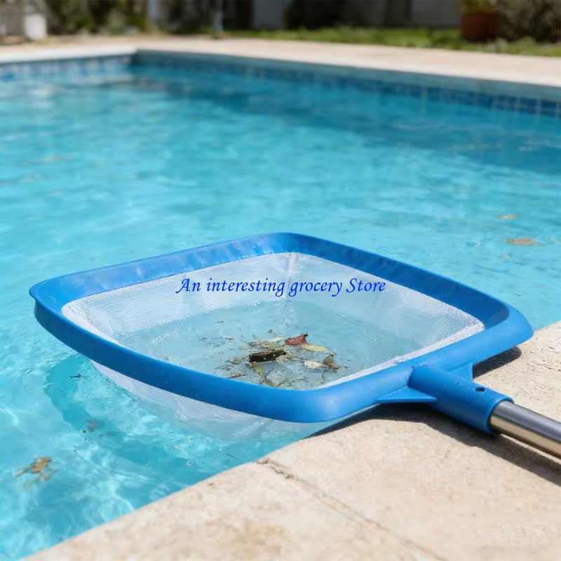 Filet piscine télescopique réglable en acier inoxydable 652D