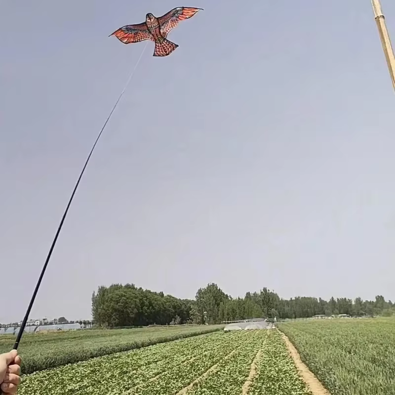 Anti oiseau volant faucon cerf-volant répulsif d'oiseaux grands cerfs-volants aigle épouvantail leurre pour ferme jardin antiparasitaire répulsif d'oiseaux