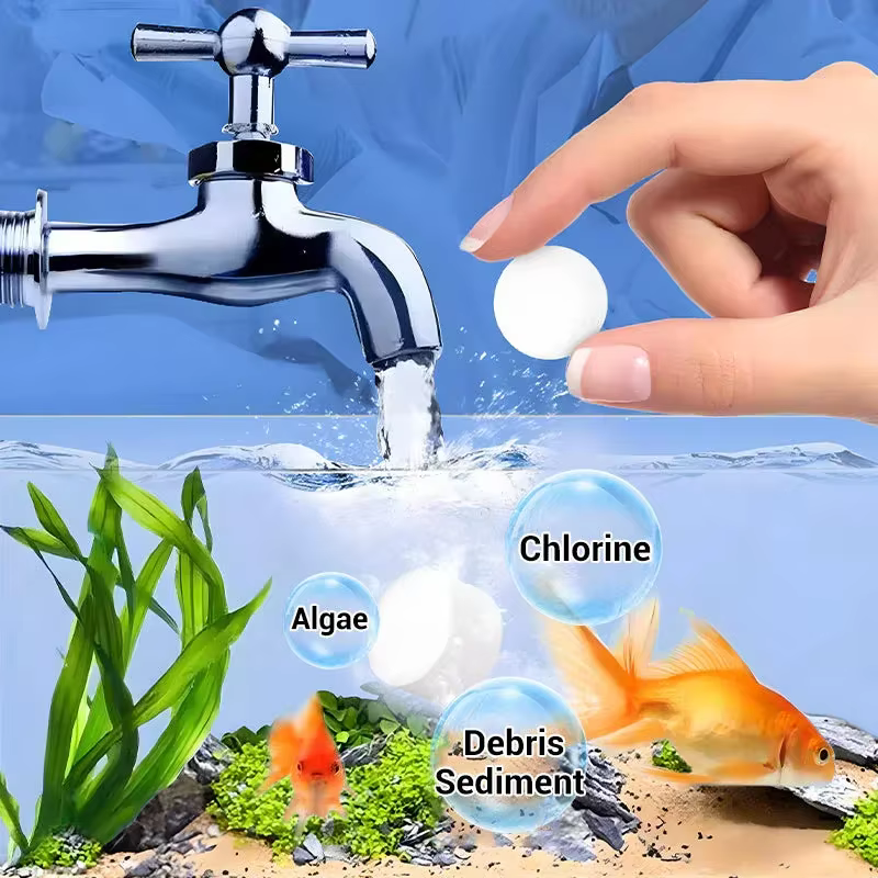 Comprimés de Purification d'eau