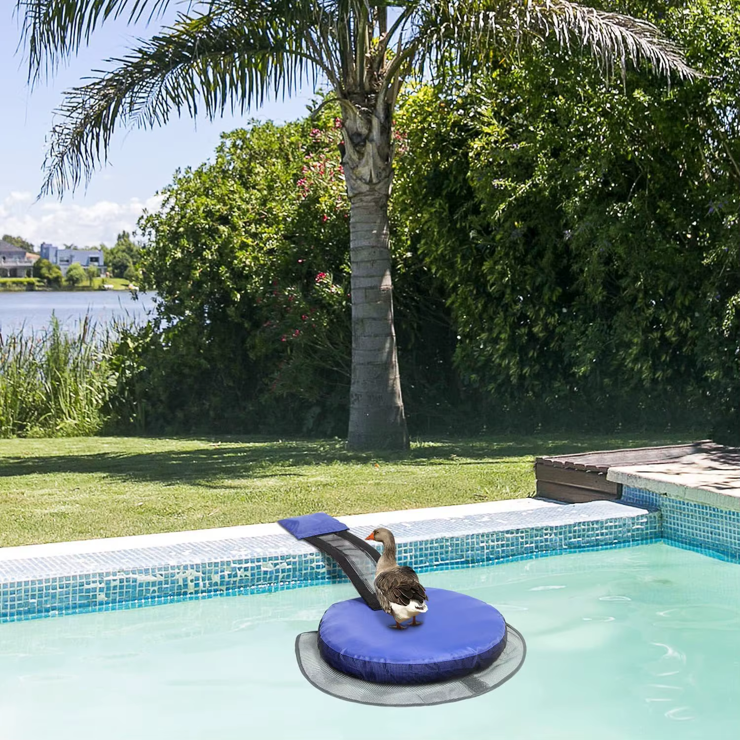 Filet Bade-wurtemberg pour petits animaux de piscine