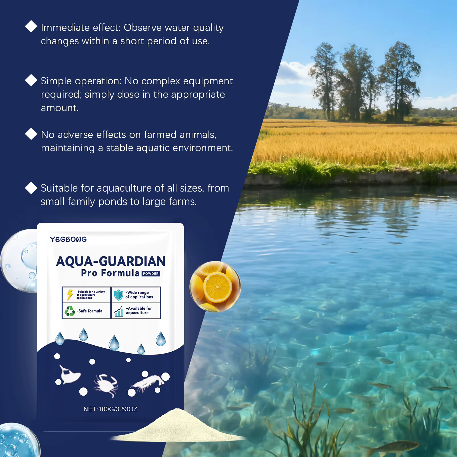 Poudre Clarifiante pour l'Eau : Purifie et Maintient l'Eau Claire