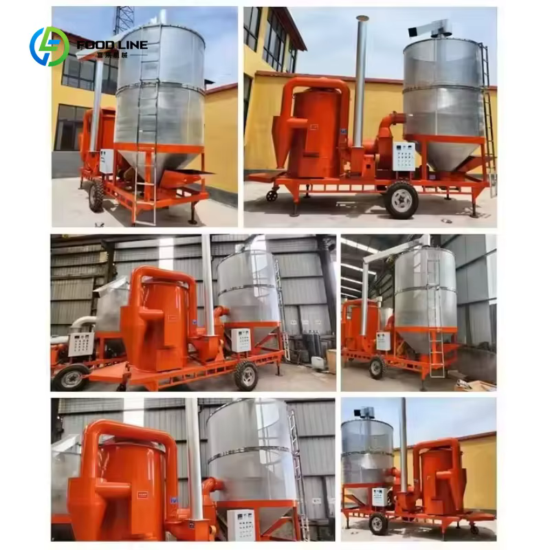 Séchoir mobile compact personnalisé pour riz paddy