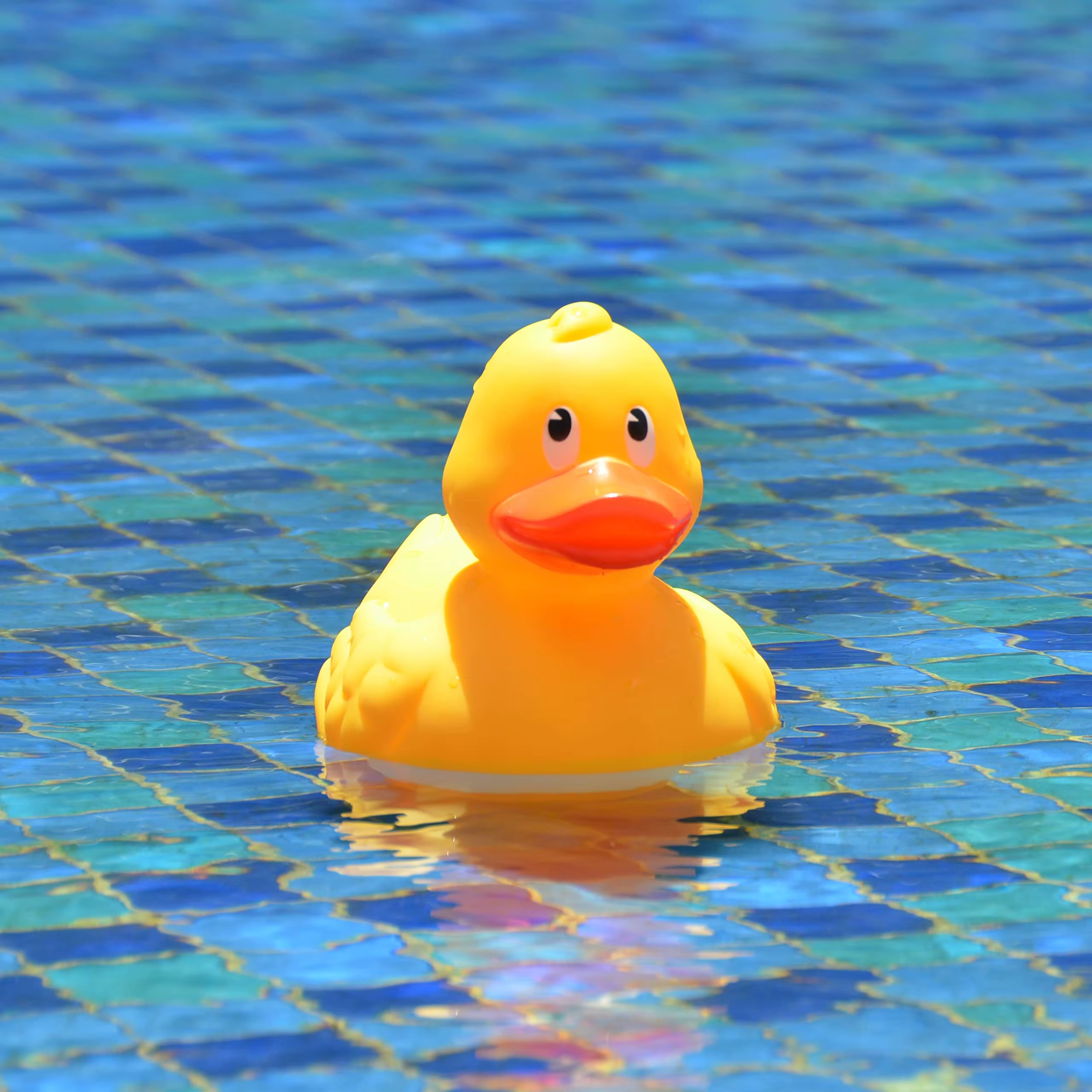 Distributeur de chlore flottant pour piscine (canard jaune)