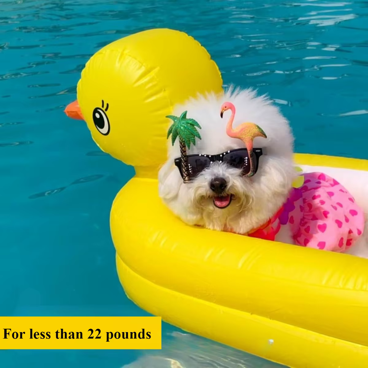 Flotteur gonflable pliable en Pvc pour chiens 2 en 1