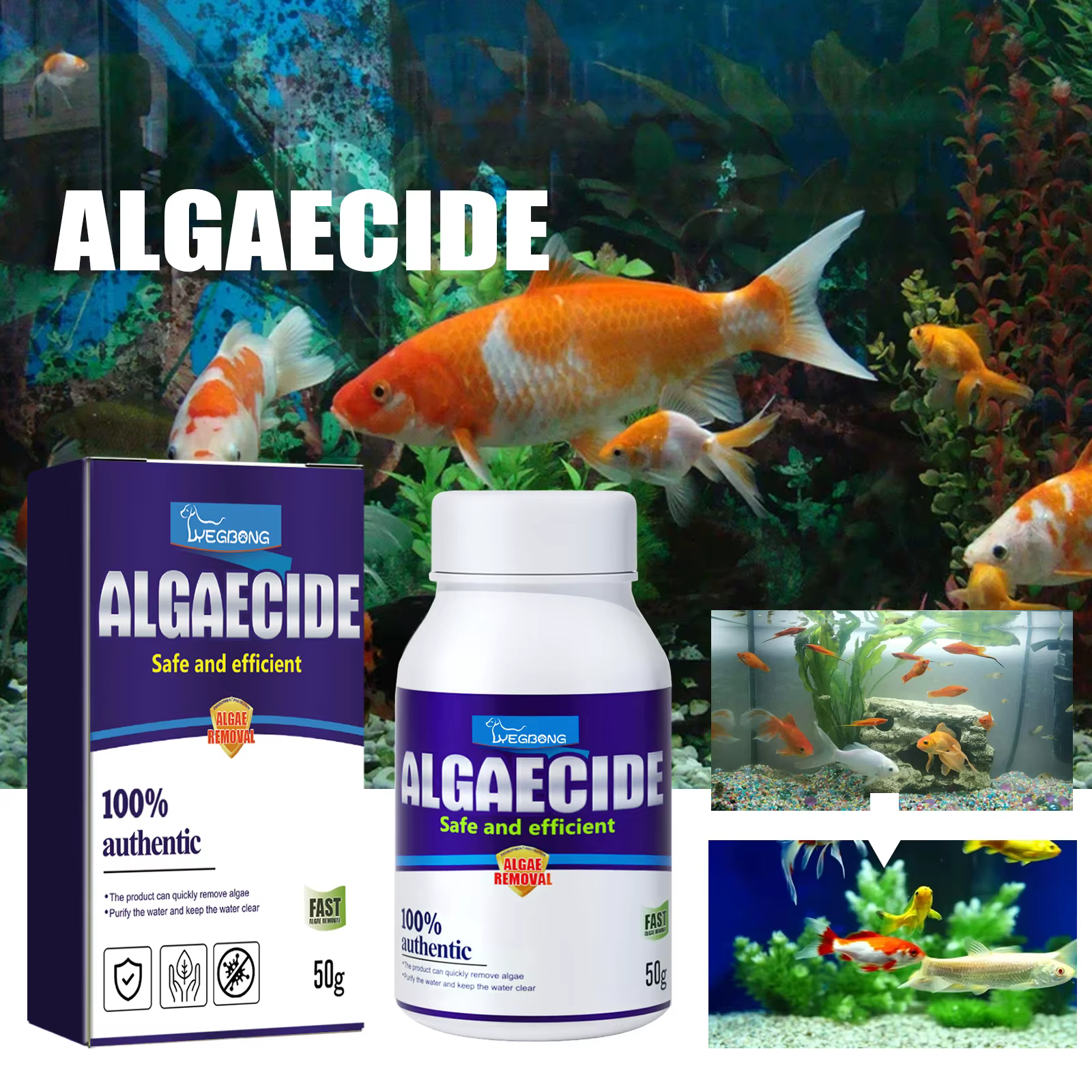 Algicide haute efficacité à action rapide pour éliminer le mousse et purifier l'eau verte