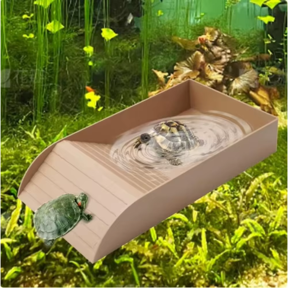 Piscine de bain pour reptiles