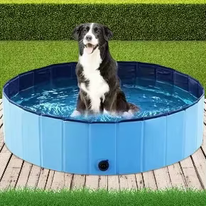 Piscine pliable pour animaux de compagnie baignoire Portable pour chien 160x30cm 120x30cm