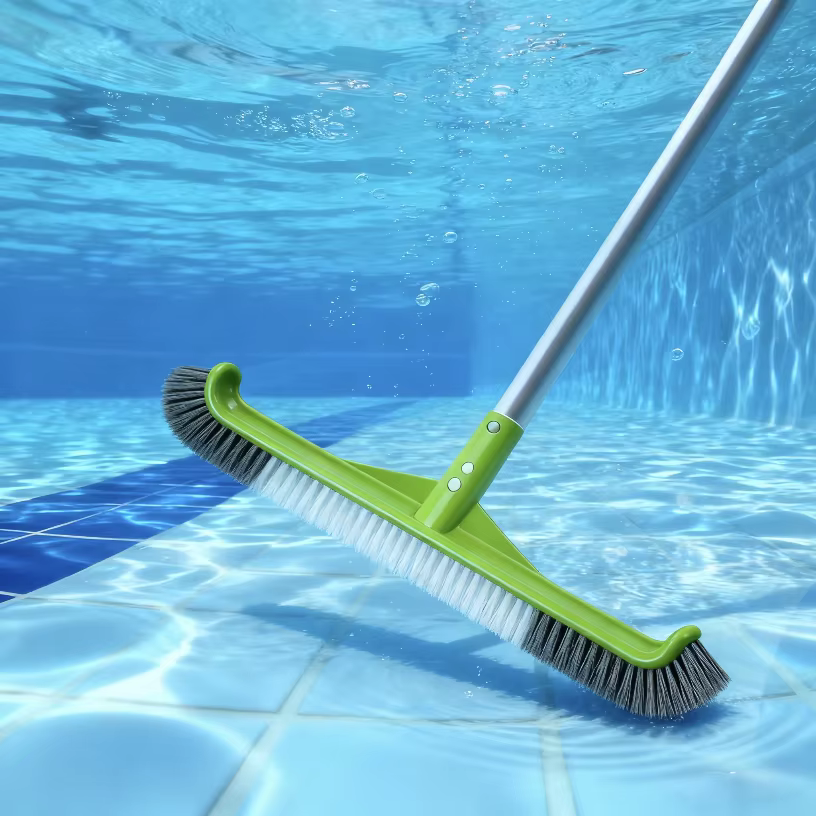Tête de brosse de piscine à bord incurvé pour nettoyer les murs