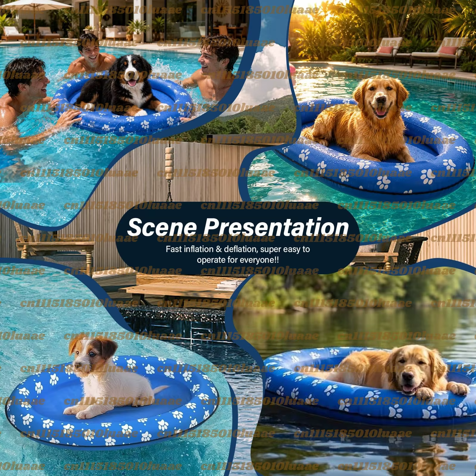 Piscine gonflable pour chien