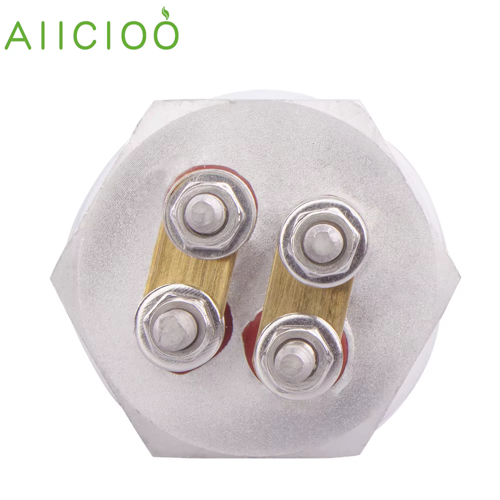 AIICIOO 48V élément chauffant DN25 1 pouce BSP Immersion eau solaire tubulaire chauffage électrique 1500W/1800W/2400W/2700W/3000W/SUS304