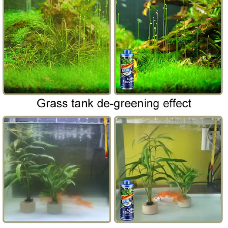 300ml 1/2PC algues pour Aquarium enlever