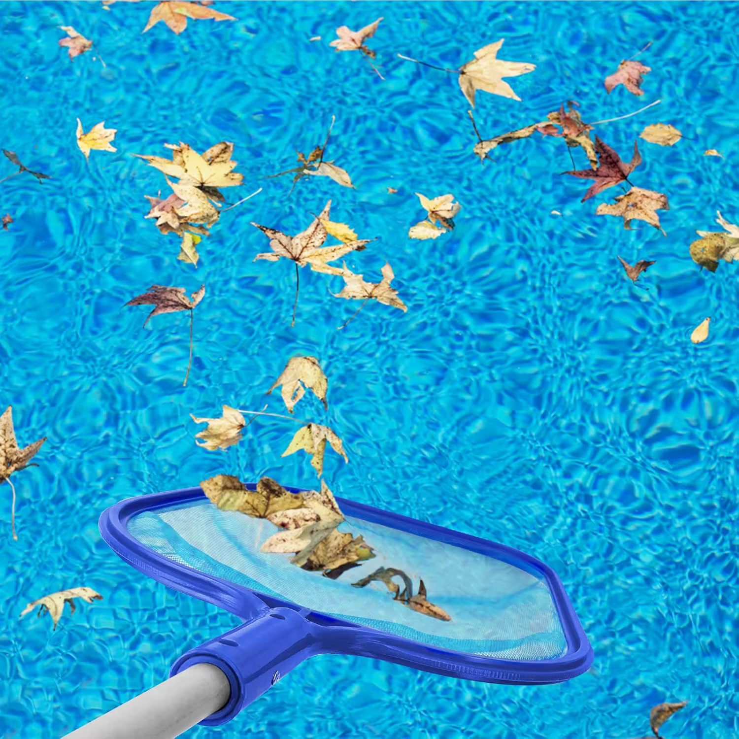 Épuisette de piscine, perche télescopique en aluminium réglable en 5 sections