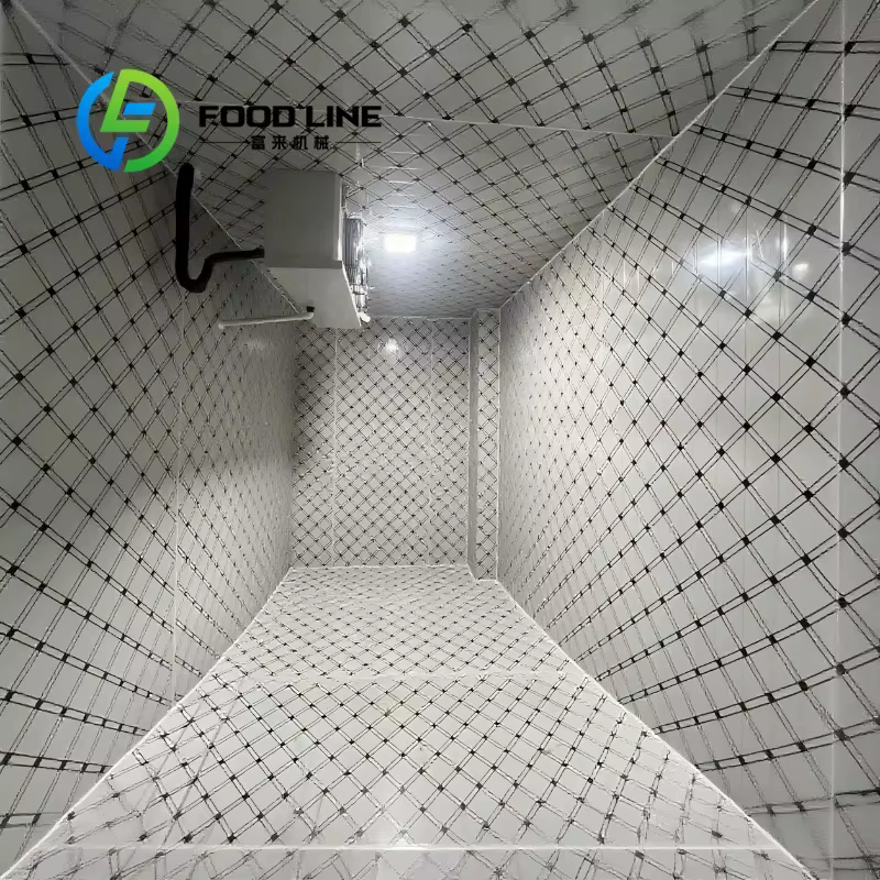 Chambre froide solaire conteneurisée de 40 pieds pour serres : Optimisez le cycle d'irradiation solaire pour un refroidissement gratuit des cultures vertes post-récolte