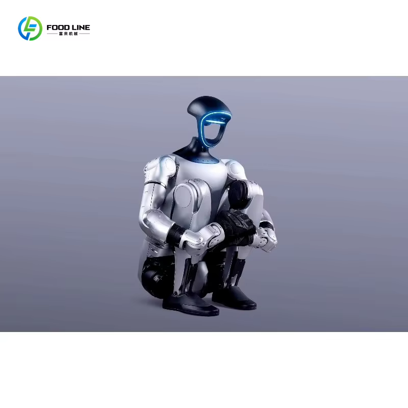Robot humanoïde intelligent personnalisé pour l'éducation, la recherche, la scène et le divertissement