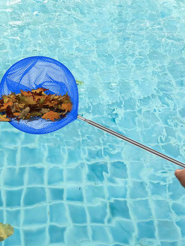 Filet d'écumoire de piscine télescopique