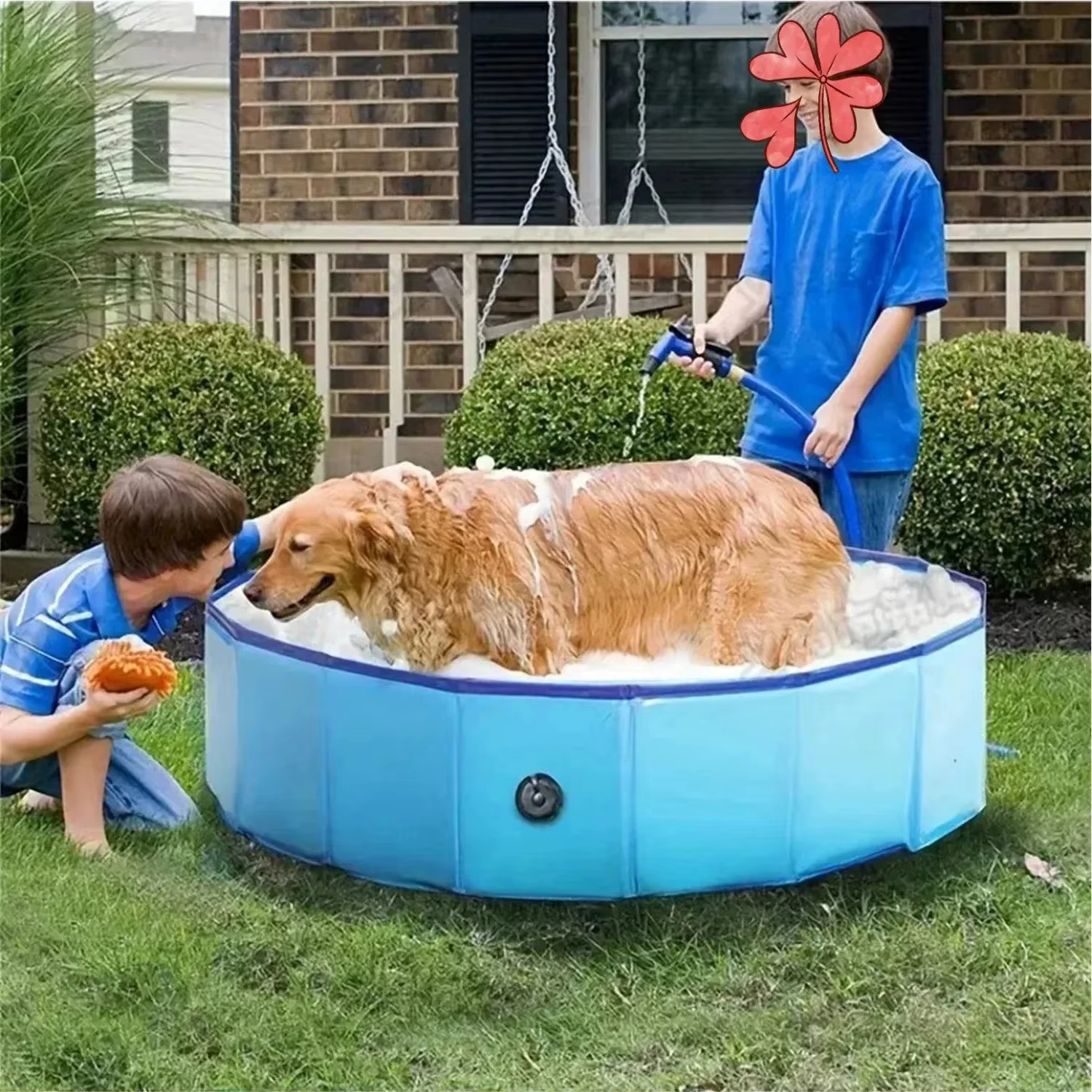 Piscine pliable pour animaux de compagnie