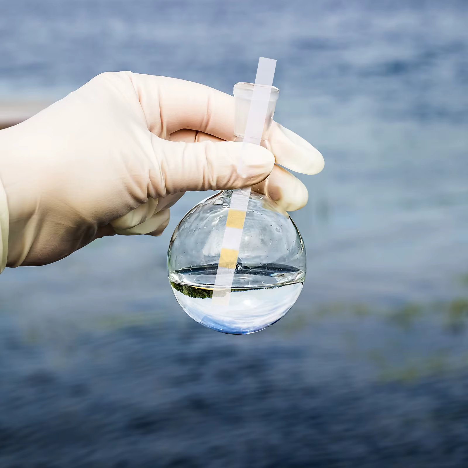 50 Bandelettes de Test Multifonctionnelles pour la Qualité de l'Eau