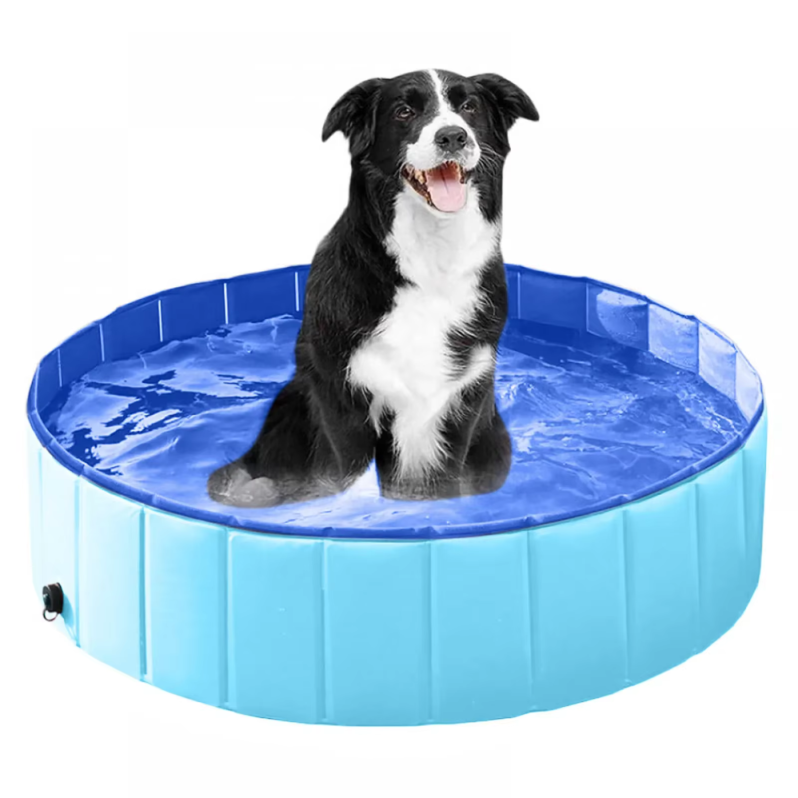 Piscine pliable pour chien