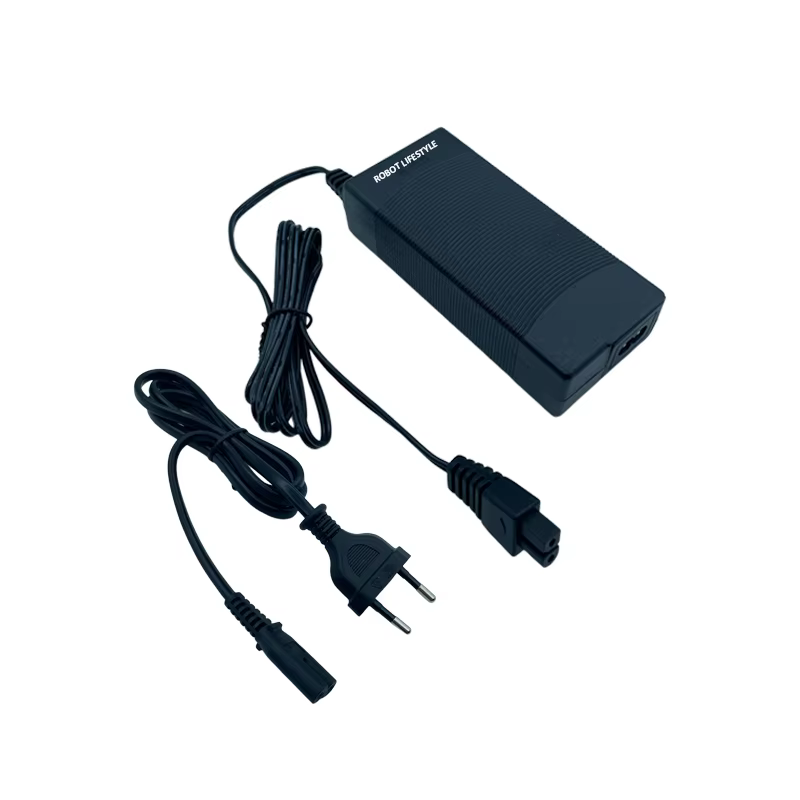 Adaptateur d'alimentation pour robot nettoyeur de piscine