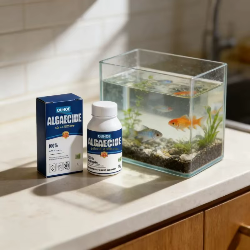 Algicide haute efficacité 50g pour aquarium et bassin – Contrôle des algues et du mousse – Réduit l'eau verte –