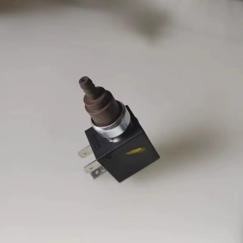 Nouvelle pompe électromagnétique pour nettoyeur vapeur Karcher, pompe auto-amorçante de remplacement SC2 SC3