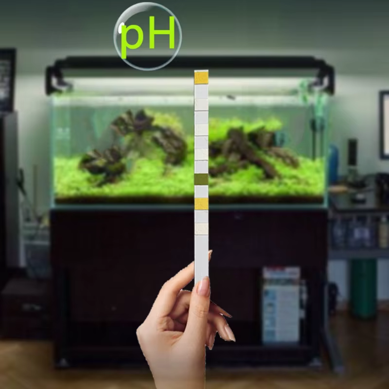 Bandelettes de test d'aquarium pour piscine et sécuritaires