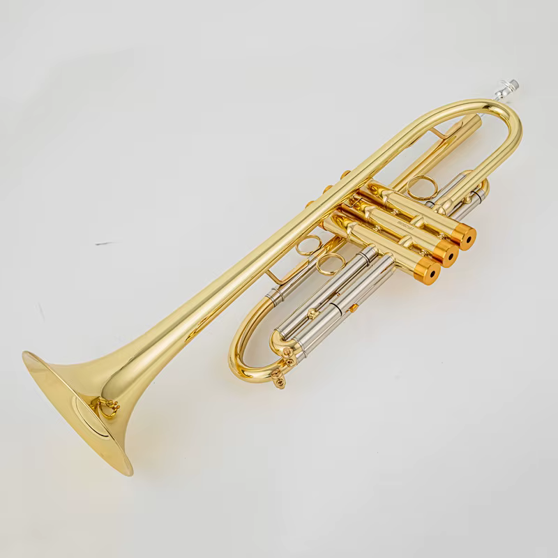 Vincent Bach Bb Trompette Instrument Heavy-Duty Professionnel Agréer Trompette TR-650