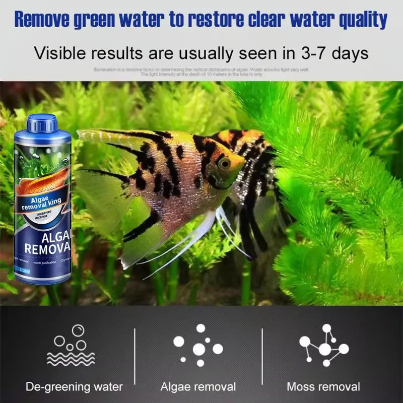 Dissolvant d'algues aquatiques pour aquarium